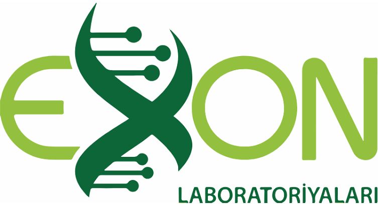 Exon klinika və labaratoriya loqosu